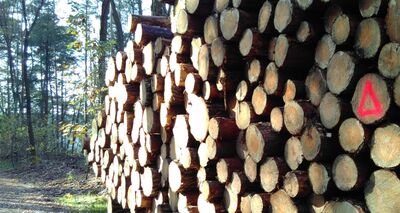 © Timber Construction Europe, Sibylle Zeuch